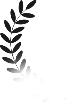 Faqs1 Illus 1