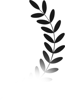 Faqs1 Illus 2