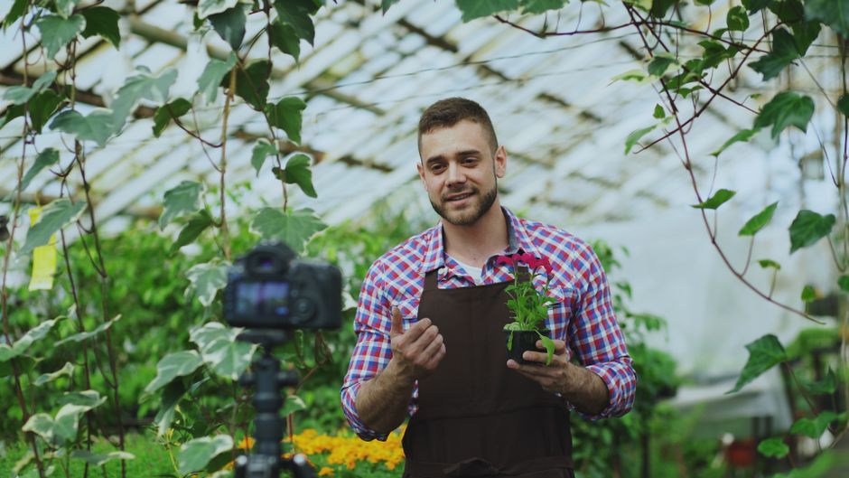 Gardener explains plant care in greenhouse while recording a vlog.