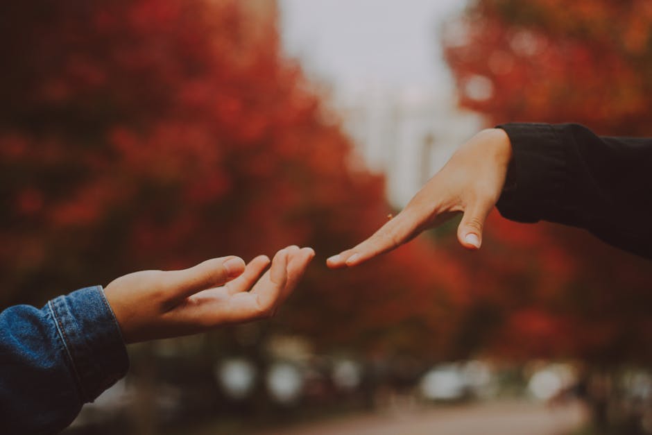 Close-up of a couple's hands reaching out with autumn leaves in background.