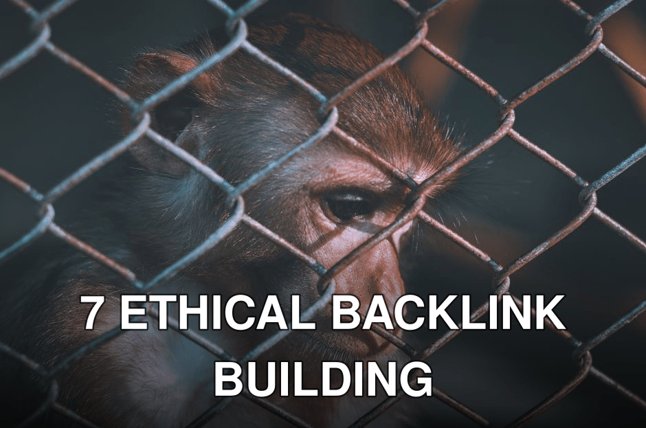 A macaque monkey looks through a chain-link fence, evoking themes of captivity and wildlife protection.