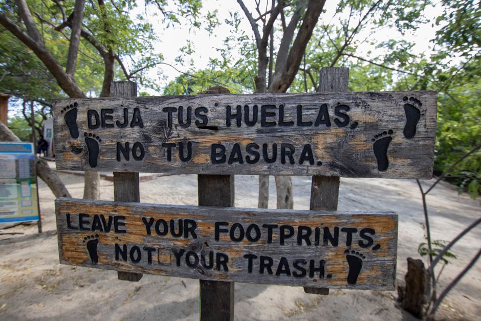 Wooden sign promoting nature preservation in a lush outdoor area.
