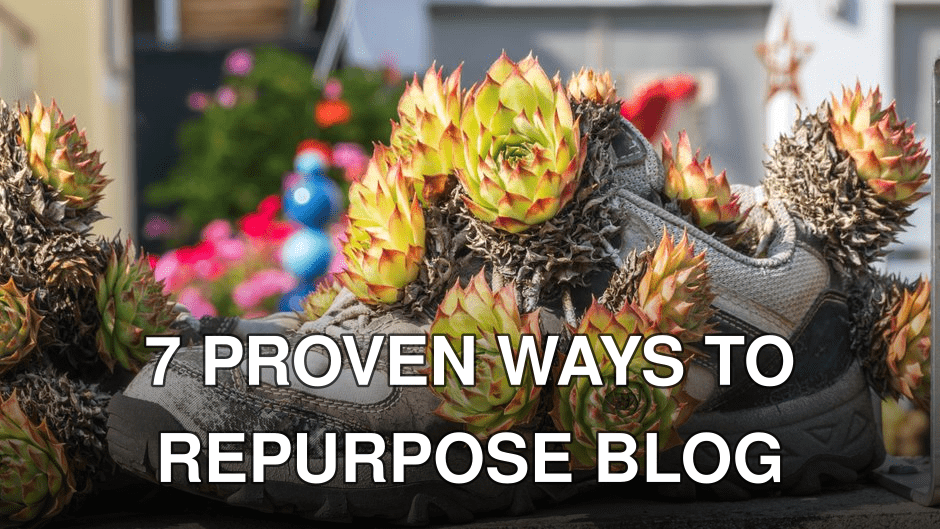 Rustic sneakers repurposed as planters with vibrant succulents outdoors.