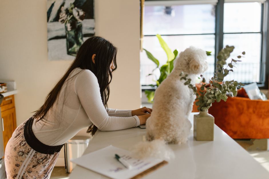 A woman leaning on a countertop beside a fluffy white dog in a modern home interior.