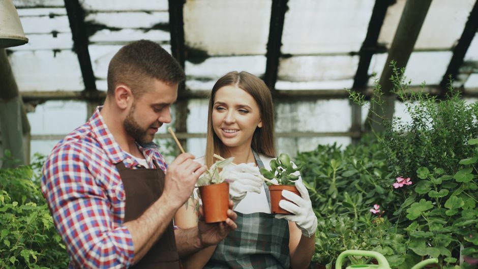 Two young adults are tending to plants inside a vibrant and lush greenhouse.
