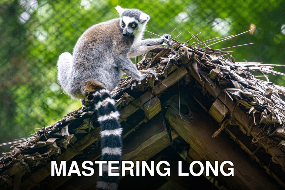 Ring-tailed lemur perched on a straw roof with a lush green backdrop.