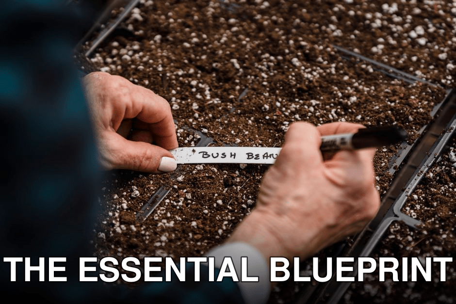 Blurred crop faceless female gardener writing notes with names of plants on container with soil and seed during work in garden