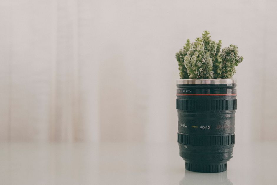 A creative cactus arrangement in a camera lens pot, blending nature and photography.
