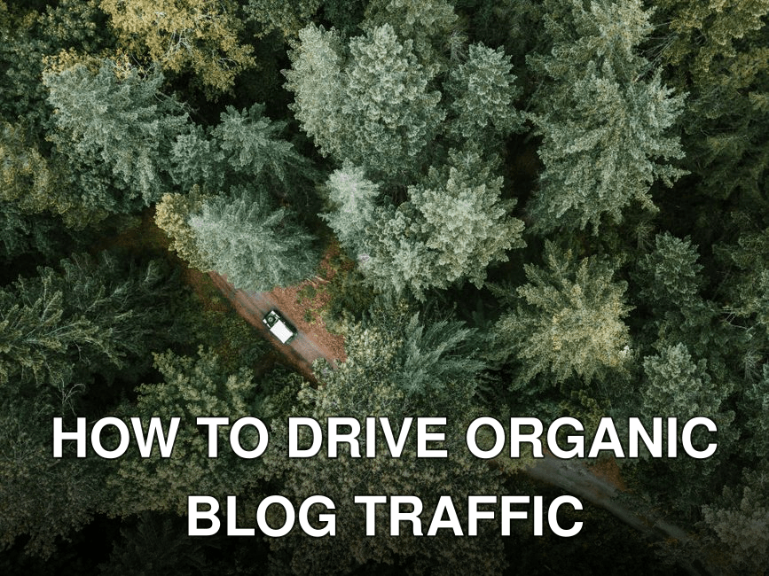 Drone shot capturing a vehicle cruising through a dense forest road surrounded by lush trees.