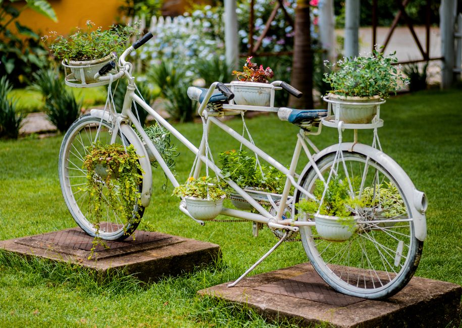 White bicycle converted into a planter with lush green plants, set in a tranquil garden.